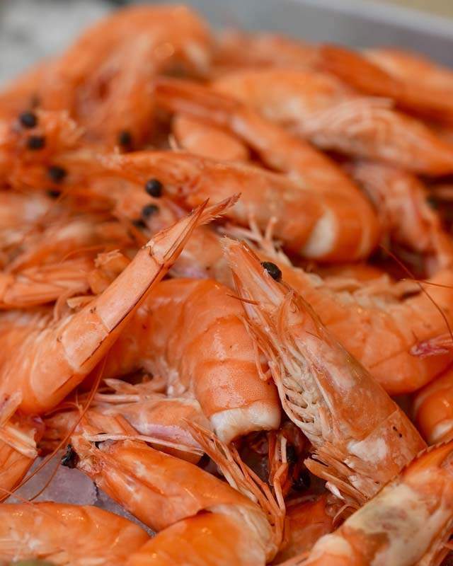 Plat de crevette Dijon